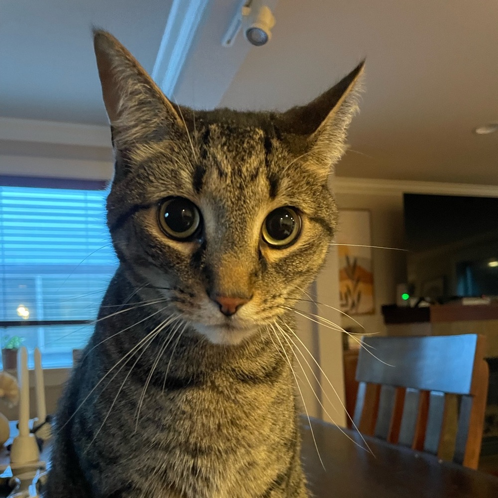 Meet your Posher, Vicky